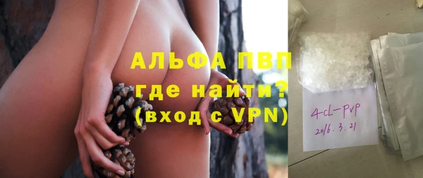 дживик Алексин